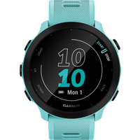 Garmin Forerunner 55 Blauw