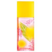 Elizabeth Ardengeen Tea Mimosa Eau De Toilette Spray 100ml