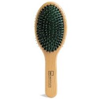 Idc Institute Oval Brush Double Bristle Brush 1 Unit