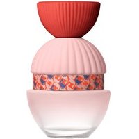 El Ganso Fun & Chic Eau de Parfum Spray 100ml