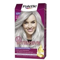 Palette Intensive Dye U71-Silvergay