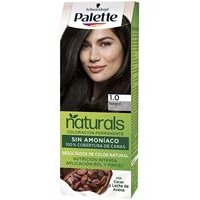Palette Natural Palette Dye 1.0-Black 1 Un