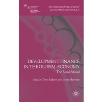 Development Finance in the Global Economy Development Finance in the Global Economy