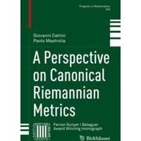 A Perspective on Canonical Riemannian Metrics A Perspective on Canonical Riemannian Metrics