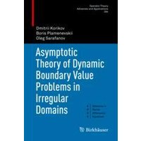 Asymptotic Theory of Dynamic Boundary Value Problems in Irregular Domains Asymptotic Theory of Dynamic Boundary Value Problems in Irregular Domains