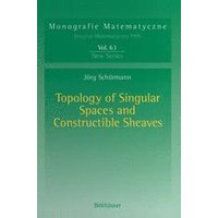 Topology of Singular Spaces and Constructible Sheaves Topology of Singular Spaces and Constructible Sheaves