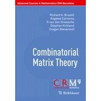 Combinatorial Matrix Theory Combinatorial Matrix Theory