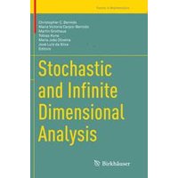 Stochastic and Infinite Dimensional Analysis Stochastic and Infinite Dimensional Analysis