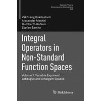 Integral Operators in Non-Standard Function Spaces Integral Operators in Non-Standard Function Spaces