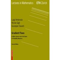 Gradient Flows Gradient Flows