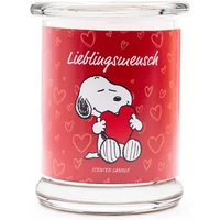 Peanuts Thekendisplay 12 x 250g