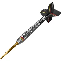 Precise180 - Steeldarts Ricardo Pietreczko - 21gr.