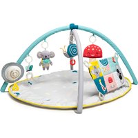 Taf Toys All Around Me Gym