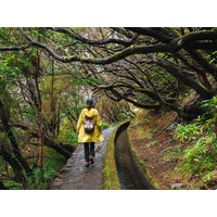 Rundreisen Portugal – Madeira: Wandern zwischen Steilklippen und Blütenpracht Rundreisen Portugal – Madeira: Wandern zwischen Steilklippen und Blütenpracht
