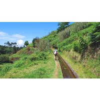 Rundreisen Portugal - Madeira: Entspannt wandern - ein Hotel, viele Erlebnisse