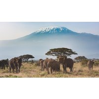 Rundreisen Kenia: Zwischen wilden Tieren und weißen Stränden