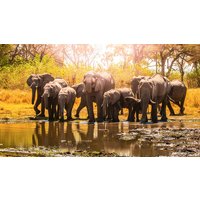 Rundreisen Namibia, Botswana & Simbabwe: Die Seele Afrikas in kleiner Gruppe hautnah erleben