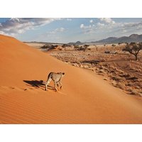 13 Tage Rundreisen Namibia, Botswana und Simbabwe Zwischen Wildnis und Wasserfällen Rückflug ab Johannesburg 13 Tage Rundreisen Namibia, Botswana und Simbabwe Zwischen Wildnis und Wasserfällen Rückflug ab Johannesburg