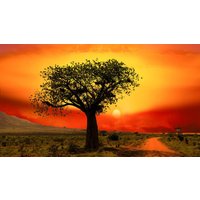 Rundreisen Kenia: Für Einsteiger - Safari trifft Indischer Ozean