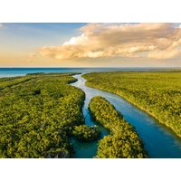 Rundreisen USA – Florida: Sonne, Natur & Abenteuer Rundreisen USA – Florida: Sonne, Natur & Abenteuer