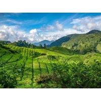 28 Tage Kreuzfahrten Südostasien & Australien: Rundreise von Penang bis Singapur & Kreuzfahrt mit der Celebrity Solstice von Singapur bis Sydney 28 Tage Kreuzfahrten Südostasien & Australien: Rundreise von Penang bis Singapur & Kreuzfahrt mit der Celebrity Solstice von Singapur bis Sydney