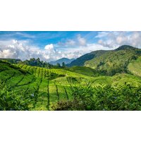 Kreuzfahrten Südostasien & Australien: Kreuzfahrt mit der Celebrity Solstice von Singapur bis Sydney inkl. Malaysia-Rundreise von Penang bis Singapur