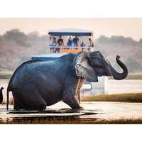 16 Tage Rundreisen Südafrika, Botswana und Simbabwe Safari, Wasserfälle und Kulturerbe entdecken Frühstück 16 Tage Rundreisen Südafrika, Botswana und Simbabwe Safari, Wasserfälle und Kulturerbe entdecken Frühstück