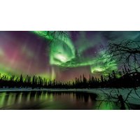 Rundreisen Schweden: Elche, Eis und ein Schritt über den Polarkreis