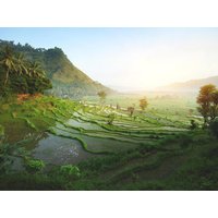 13 Tage Kombinationsreisen Indonesien – Bali: Zwischen Dschungelklängen und Wellenrauschen mit Entspannung im 4-Sterne-Hotel in Sanur 13 Tage Kombinationsreisen Indonesien – Bali: Zwischen Dschungelklängen und Wellenrauschen mit Entspannung im 4-Sterne-Hotel in Sanur