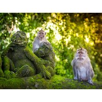 13 Tage Kombinationsreisen Indonesien – Bali: Zwischen Dschungelklängen und Wellenrauschen mit Entspannung im 5-Sterne-Hotel in Nusa Dua 13 Tage Kombinationsreisen Indonesien – Bali: Zwischen Dschungelklängen und Wellenrauschen mit Entspannung im 5-Sterne-Hotel in Nusa Dua