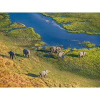 13 Tage Rundreisen Botswana und Simbabwe Afrika ganz exklusiv bei einer Fly-in-Safari erleben 13 Tage Rundreisen Botswana und Simbabwe Afrika ganz exklusiv bei einer Fly-in-Safari erleben