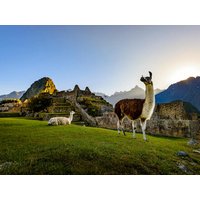 14 Tage Rundreisen Südamerika – Peru, Argentinien & Brasilien: Erleben Sie das Herz Lateinamerikas hautnah 14 Tage Rundreisen Südamerika – Peru, Argentinien & Brasilien: Erleben Sie das Herz Lateinamerikas hautnah