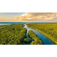 Rundreisen USA - Florida: Sonne, Natur & Abenteuer