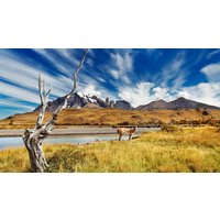 Rundreisen Argentinien & Chile - Patagonien: Expeditionsabenteuer ans Ende der Welt