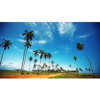 Rundreisen Togo & Benin: Zwischen Lehmburgen & Voodoo