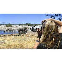 Rundreisen Namibia: Weite Horizonte, wilde Schönheit