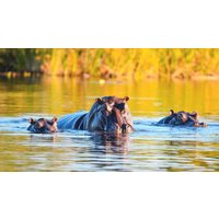 Rundreisen Namibia, Botswana & Simbabwe: Erlebnisse in kleiner Gruppe, großartige Momente in wilder Landschaft