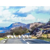 Rundreisen Irland: Lebhafte Straßen, schroffe Klippen & hübsche Dörfer Rundreisen Irland: Lebhafte Straßen, schroffe Klippen & hübsche Dörfer