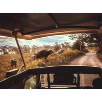 17 Tage Rundreisen Kenia Safari-Abenteuer und Traumstrand im Herzen Ostafrikas All Inclusive 17 Tage Rundreisen Kenia Safari-Abenteuer und Traumstrand im Herzen Ostafrikas All Inclusive