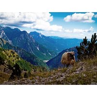 10 Tage Erlebnisreisen Albanien, Nordmazedonien & Kosovo: Einzigartige Entdeckungen im Balkan 10 Tage Erlebnisreisen Albanien, Nordmazedonien & Kosovo: Einzigartige Entdeckungen im Balkan