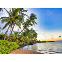 42 Tage Kreuzfahrten Ozeanien & Hawaii: Kreuzfahrt mit der Crown Princess ab/an Sydney inkl. Vorprogramm in Sydney 42 Tage Kreuzfahrten Ozeanien & Hawaii: Kreuzfahrt mit der Crown Princess ab/an Sydney inkl. Vorprogramm in Sydney