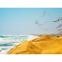 20 Tage Kreuzfahrten Transafrika: Kreuzfahrt mit AIDAprima ab Gran Canaria an Kapstadt inkl. Nachprogramm in Kapstadt 20 Tage Kreuzfahrten Transafrika: Kreuzfahrt mit AIDAprima ab Gran Canaria an Kapstadt inkl. Nachprogramm in Kapstadt