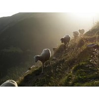 Erlebnisreisen Andorra: Große Natur auf kleinen Wegen – Wanderungen in der Kleingruppe Erlebnisreisen Andorra: Große Natur auf kleinen Wegen – Wanderungen in der Kleingruppe