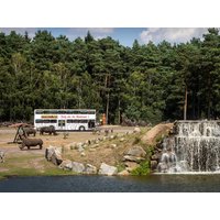 1 Woche Eigene Anreise Lüneburger Heide Hodenhagen Afrika-Abenteuer im Serengeti-Park Frühstück 1 Woche Eigene Anreise Lüneburger Heide Hodenhagen Afrika-Abenteuer im Serengeti-Park Frühstück