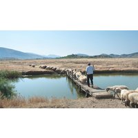 Rundreisen Albanien: Zwischen Bergen, Meeresrauschen und Momenten fürs Herz