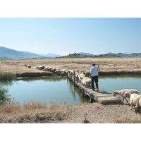 15 Tage Rundreisen Albanien: Zwischen Bergen, Meeresrauschen und Momenten fürs Herz 15 Tage Rundreisen Albanien: Zwischen Bergen, Meeresrauschen und Momenten fürs Herz