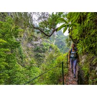 15 Tage Rundreisen Portugal – Madeira: Aktiv entdecken – entspannt genießen 15 Tage Rundreisen Portugal – Madeira: Aktiv entdecken – entspannt genießen