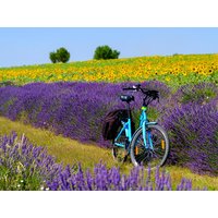 Eigene Anreise Frankreich – Provence – Auf den Spuren der Römer radeln Eigene Anreise Frankreich – Provence – Auf den Spuren der Römer radeln