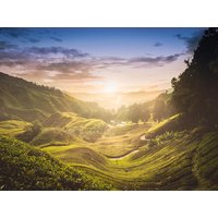 26 Tage Kreuzfahrten Südostasien: Malaysia-Rundreise von Penang bis Singapur und Kreuzfahrt mit Mein Schiff 6 ab/an Singapur 26 Tage Kreuzfahrten Südostasien: Malaysia-Rundreise von Penang bis Singapur und Kreuzfahrt mit Mein Schiff 6 ab/an Singapur