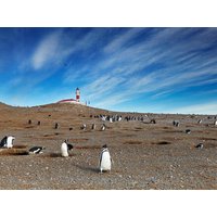 19 Tage Kreuzfahrten Südamerika – Kreuzfahrt mit Oosterdam ab Buenos Aires an Santiago de Chile All Inclusive 19 Tage Kreuzfahrten Südamerika – Kreuzfahrt mit Oosterdam ab Buenos Aires an Santiago de Chile All Inclusive